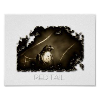 RED TAIL POSTER