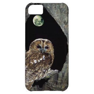 Tawny Owl perched in tree below nearly full moon iPhone 5C Cases
