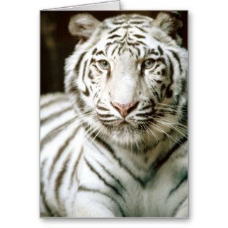 White Tiger Greeting Card