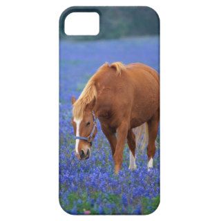 Horse Standing Among Bluebonnets iPhone 5 Case