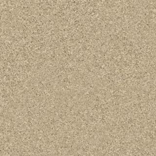 TrafficMASTER Mission Critical   Color Sand Drift Texture 12 ft. Carpet 6794 10 1200 AB