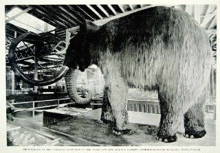 1893 Print Siberian Mastodon Ward Natural History World's Columbian Exposition   Original Halftone Print  