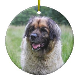 Leonberger dog hanging ornament, gift idea