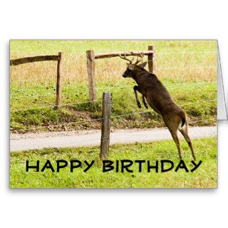 Smoky Mountain Buck Animal Hunter Happy Birthday Cards