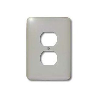 3dRose LLC lsp_30683_6 Pure Silver 2 Plug Outlet Cover   Outlet Plates  