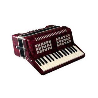 Parrot Piano Accordion 24 Bass 32 Keys T5007 Musical Instruments