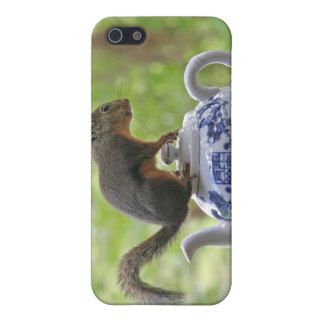 Squirrel on a Teapot iPhone 5 Covers