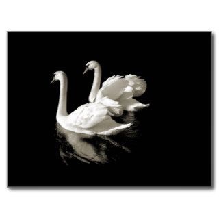 Swan Lake postcard