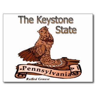 Keystone State Pennsylvania Bird Postcards