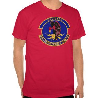 455th Air Expeditionary Wing / T.Shirt