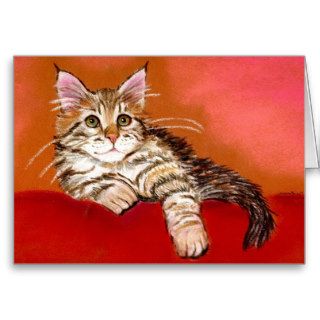 Maine Coon Kitten Cat Blank Greeting Card