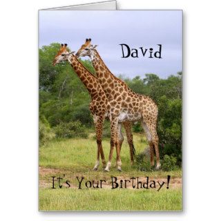 David "Go Wild" Happy Birthday Giraffes Card