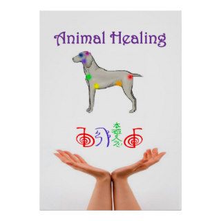 Animal Healing Posters