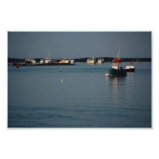 Beals Island Lobster Boats Photographic Print