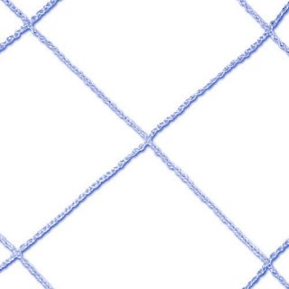 Sport Supply Group Funnet Replacement Net 4x6 (1150049)