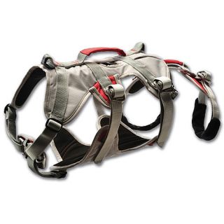 Ruff Wear DoubleBack Strength Rated Safety Dog Harness   Size XS/Extra Small,