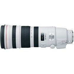 Canon EF 200 400mm f/4L IS USM Extender 1.4X Super Telephoto Lens