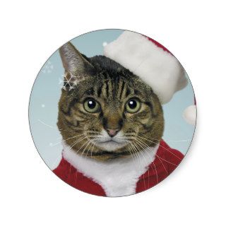 Here Comes Santa Claws Stickers