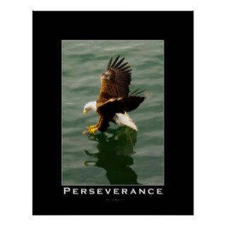 PERSEVERANCE Bald Eagle Motivational Art Poster