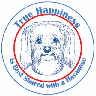 True Happiness with a Havanese Photo Sculpture