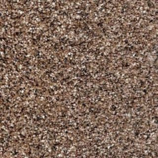 Simply Seamless Posh 02 Tunis 24 in. x 24 in. Residential Carpet Tiles (10 Case) BFPHTN