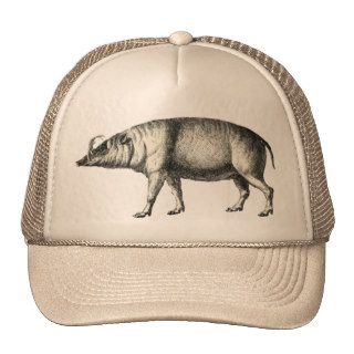 Babirusa Wild Pig Boar Hog Warthog Vintage Art Hat