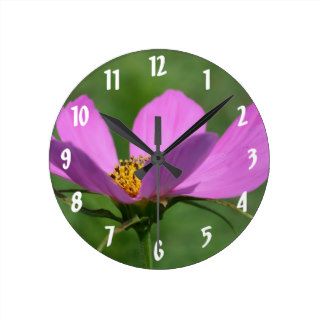 Pink Cosmos Flower Up Close Clocks