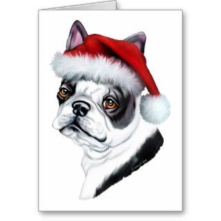 Boston Terrier Christmas Santa Cards