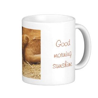 Good morning sunshine *cup* coffee mug