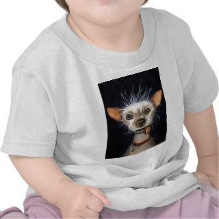 Winner of the Ugly Dog Contest 2011 Tee Shirts
