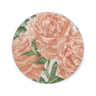 Apricot Roses Flower Garden Painting Stickers
