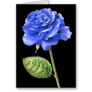 Watercolour Blue Rose Cards