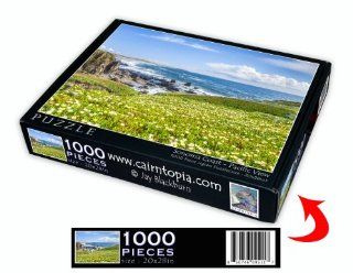 Sonoma Coast   Pacific View   20" X 28"   1000 Pieces Toys & Games