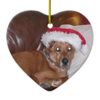 Christmas Collection Your Pet Photo Christmas Ornaments