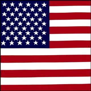 US Flag American USA Stars Stripes Biker Bandana Measures 22x22 Doo Rag BAN 0054 