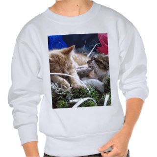 Cool Snow Cats, Two Kittens in Love, Winter Skates Sweatshirt