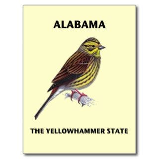 Alabama The Yellowhammer State Post Card