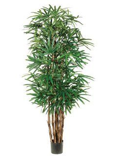 Silk Plants Direct Lady Palm Tree (Pack of 2)   Artificial Trees