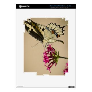 Swallowtail butterfly sipping nectar skins for iPad 3