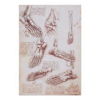 Anatomy Human Foot Skeleton Bones da Vinci Print