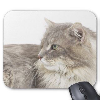 Cat lying down mouse pad