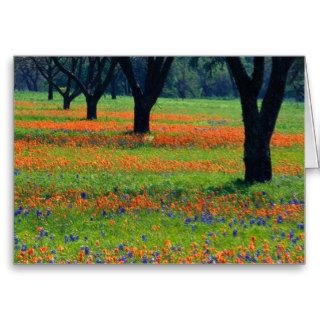 Field of Bluebonnets and Indian Paintbrush Card