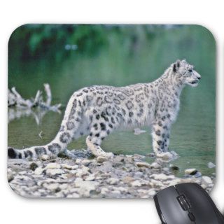 Snow leopard beside river mouse pad