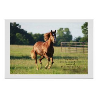 Galloping Horse Poster Print