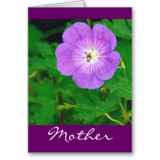 "Now That I'm A Mom" photog, purple floral Cards