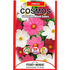 Ferry Morse Cosmos Sensation Mixed Colors Seed 1039