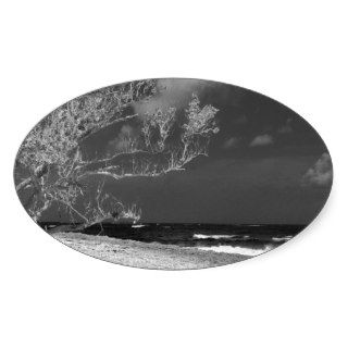 Beach tree oval stickers