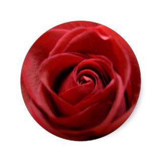 Red Rose Stickers