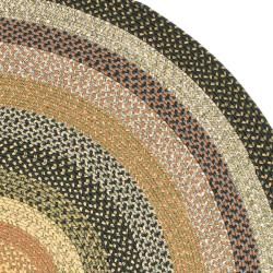 Hand woven Indoor/Outdoor Reversible Multicolor Braided Rug (6' Round) Safavieh Round/Oval/Square