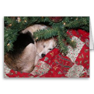 Christmas Beagle Cards